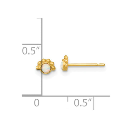 14k Yellow Gold Polished and Beaded Created Opal Stud Earrings Gift for Women