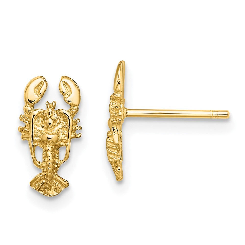 14k Yellow Gold 2-D Lobster Stud Earrings Gift for Women