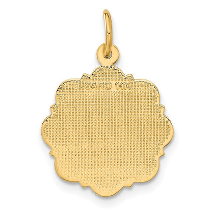 14k Yellow Gold RN Registered Nurse Disc Charm Pendant for Women