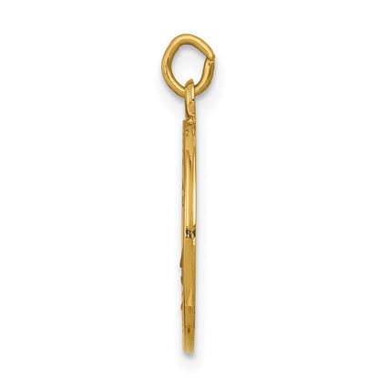 14k Yellow Gold Saint Elizabeth Seton Medal Charm Pendant for Women