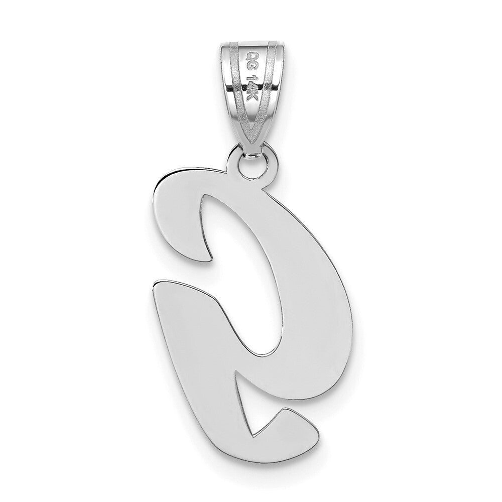 14k White Gold Polished Script Letter G Initial Pendant for Women