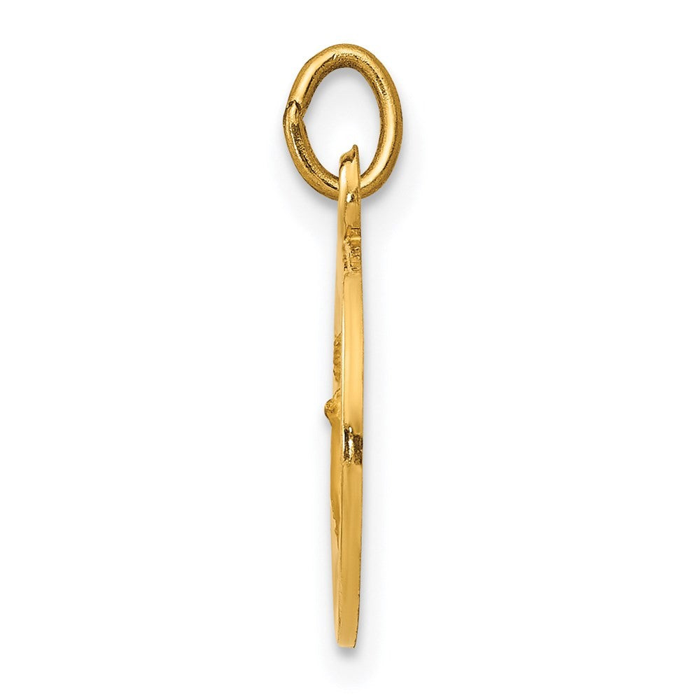 14k Yellow Gold Infant of Prague Medal Charm