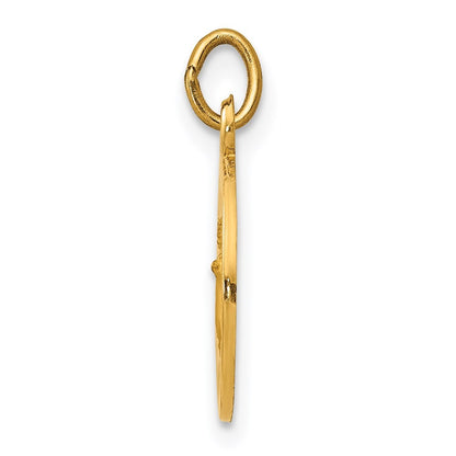14k Yellow Gold Infant of Prague Medal Charm