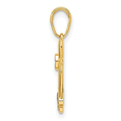 14k Yellow Gold and White Rhodium Diamond-cut Crown Pendant for Women