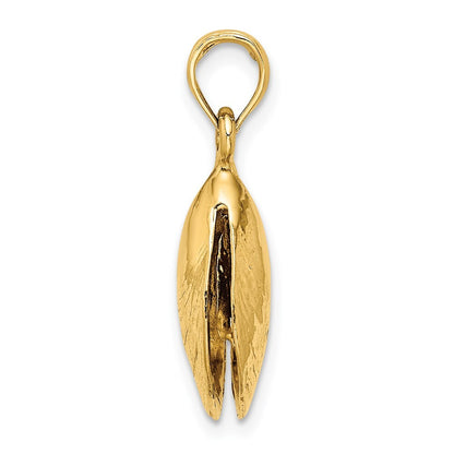 14k Yellow Gold 3-D Polished Mussel Shell Charm Pendant for Women