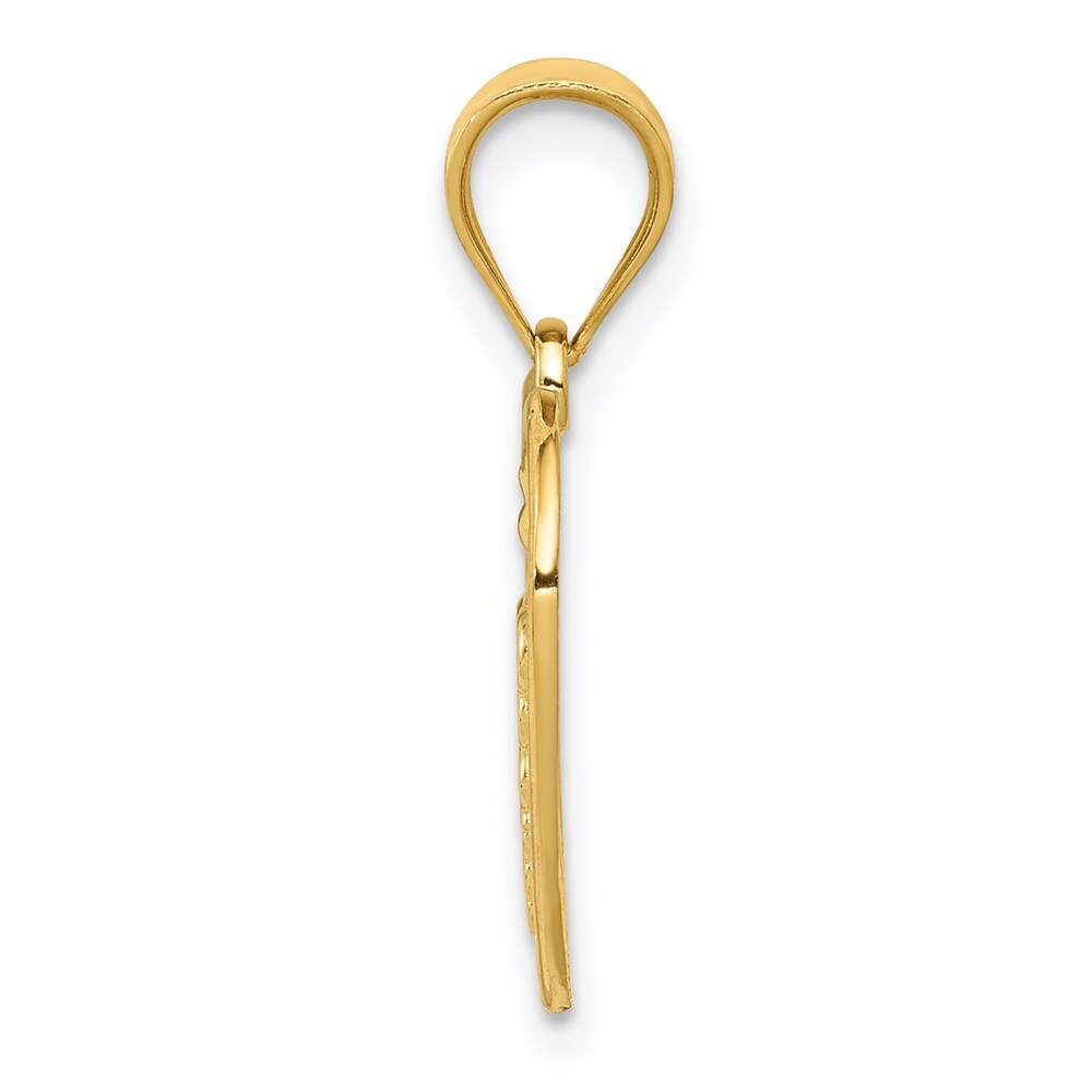 14k Yellow Gold Caduceus Heart Medical Pendant for Women