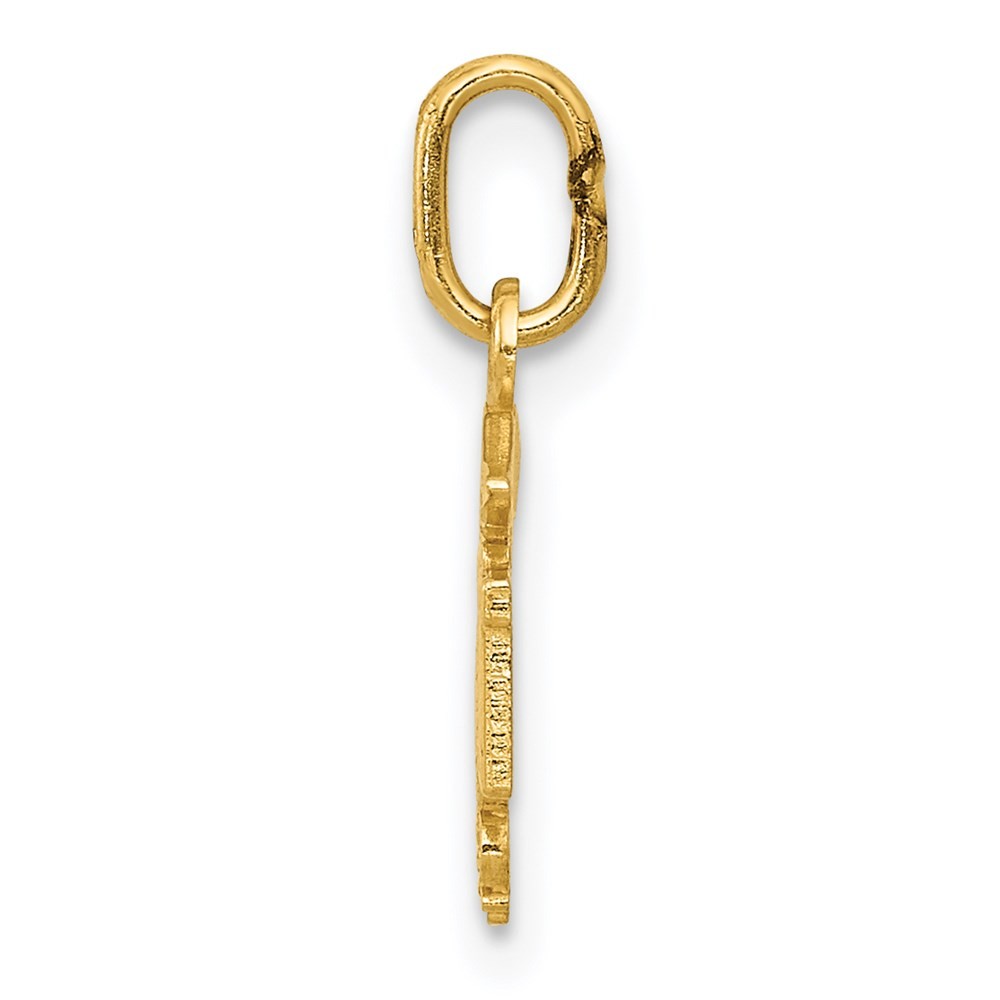 14k Yellow Gold Diamond-cut Polished RN Nurse Pendant