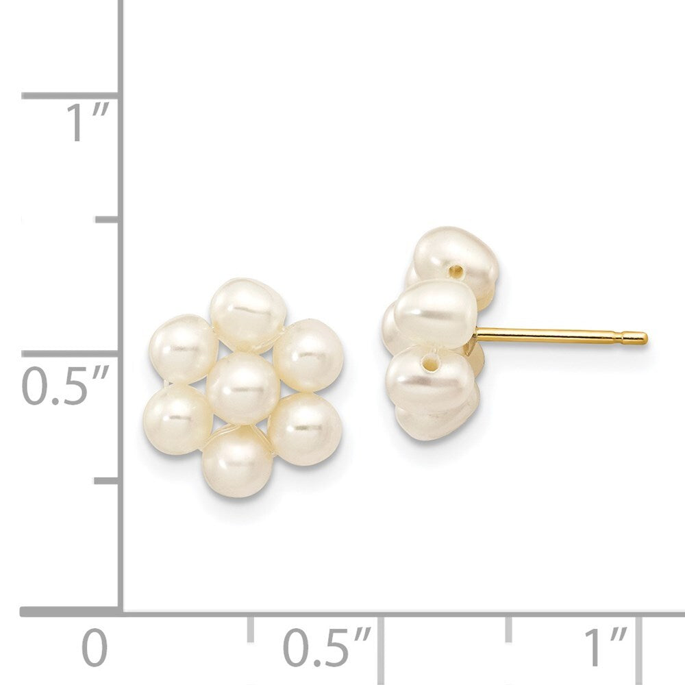 14k Yellow Gold 3-4mm White Egg Freshwater Cultured Pearl Flower Stud Earrings