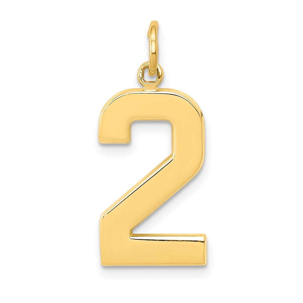 14k Yellow Gold Large Polished Number 2 Charm Pendant for Women