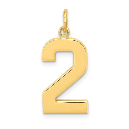 14k Yellow Gold Large Polished Number 2 Charm Pendant for Women