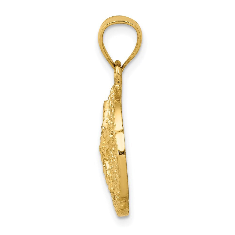 14k Yellow Gold Sand Dollar Pendant for Women