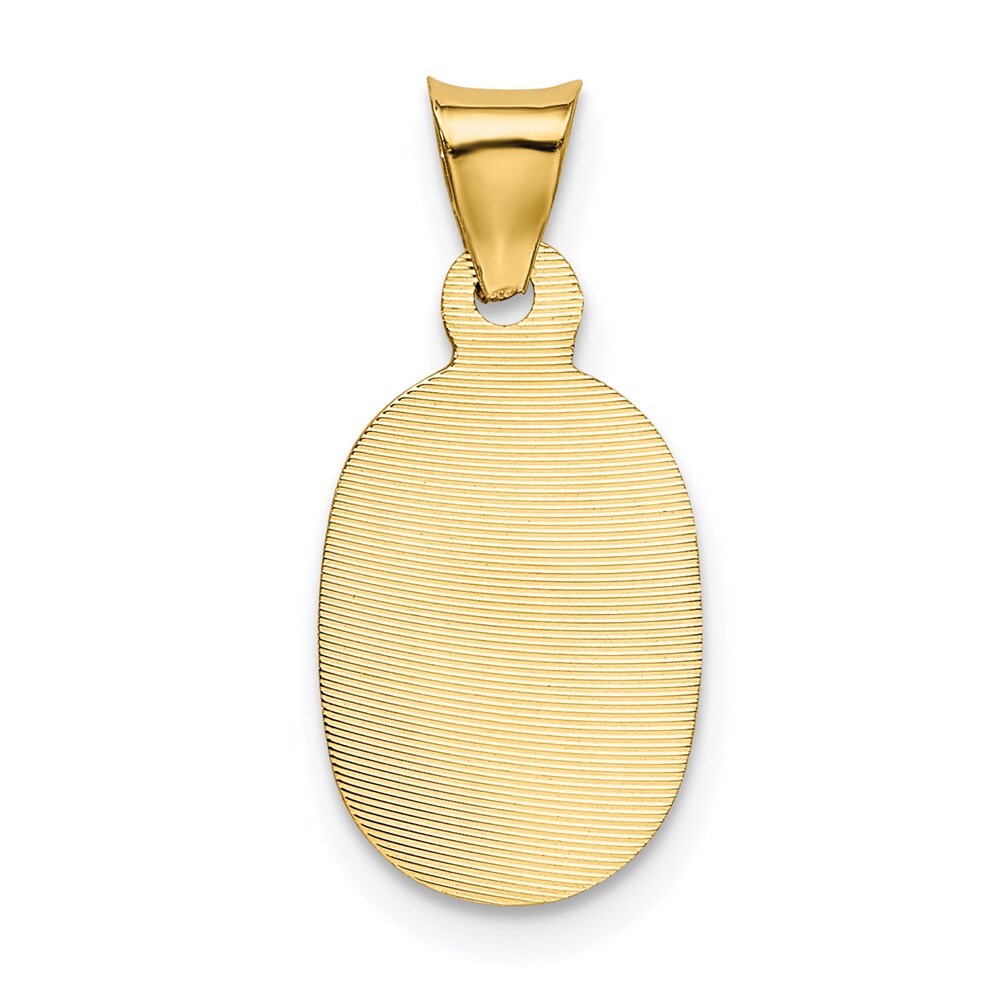 14k Yellow Gold Rose and White Rhodium Diamond-Cut Corpus Oval Pendant for Women