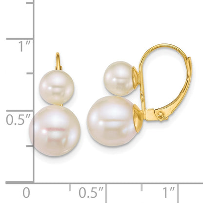 14k Yellow Gold Polished 6-9mm Freshwater Cultured 2-Pearl Leverback Earrings