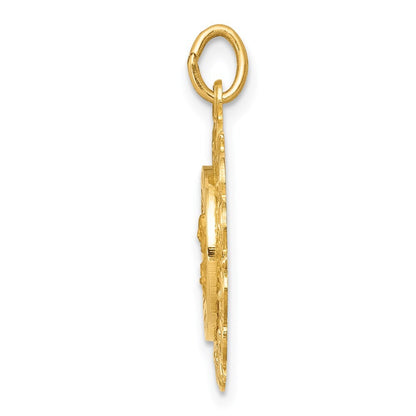 14k Yellow Gold Sacred Heart of Jesus Medal Charm Pendant for Women