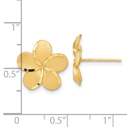 14k Yellow Gold Plumeria French Wire Stud Earrings Gift for Women