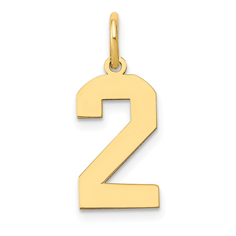 14k Yellow Gold Medium Polished Number 2 Charm