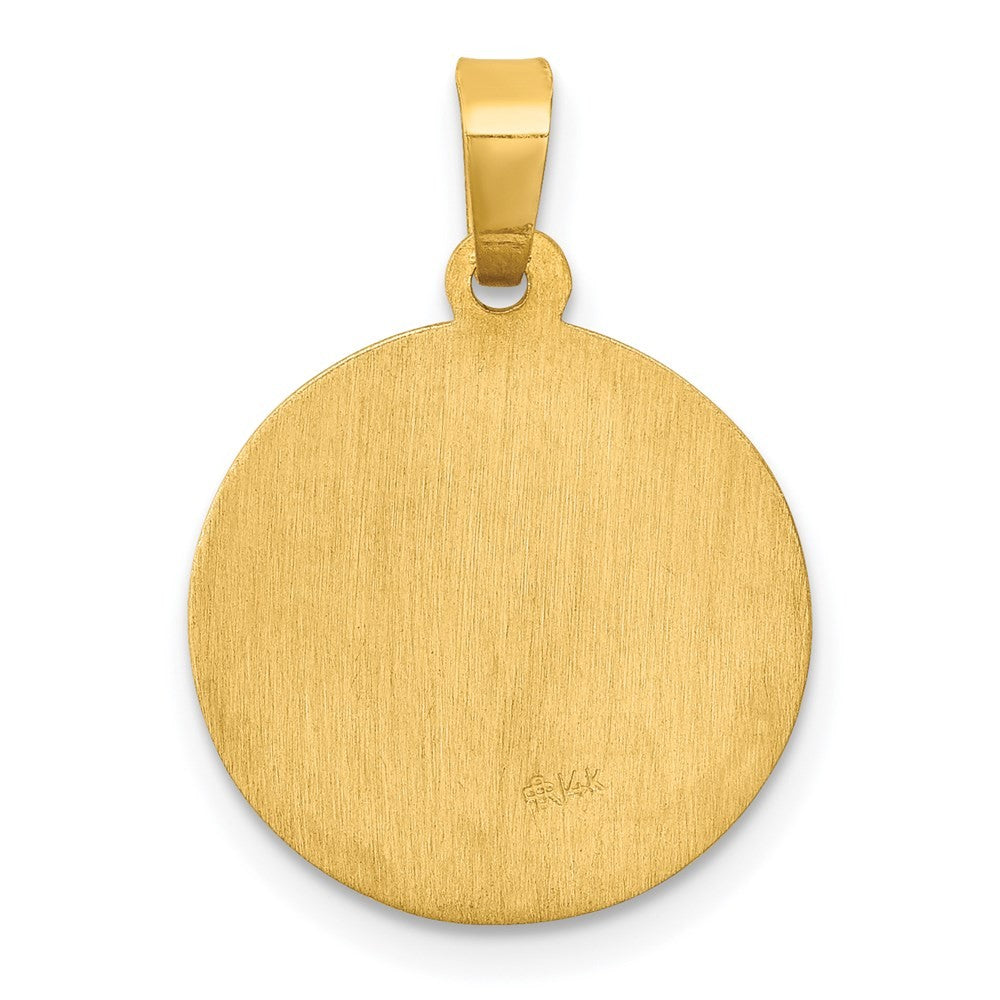 14k Yellow Gold Polished and Satin St Luke Medal Hollow Pendant