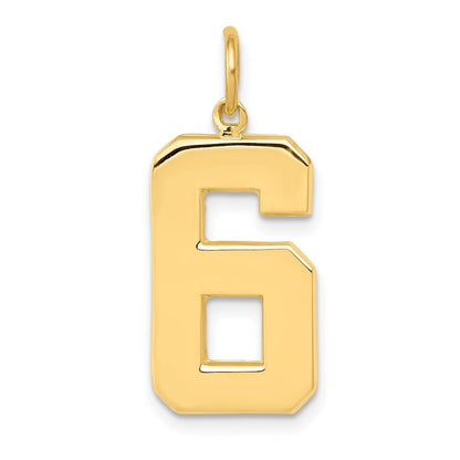 14k Yellow Gold Large Polished Number 6 Charm Pendant for Women