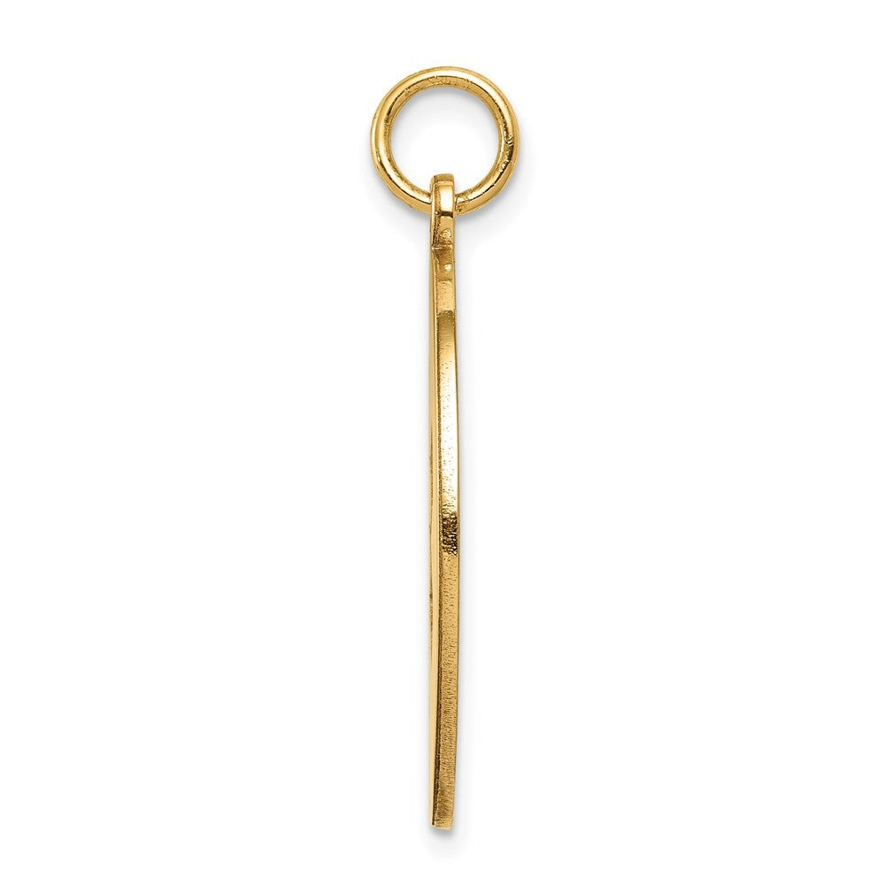 14k Yellow Gold 22mm Round Non-enameled Medical Jewelry Pendant