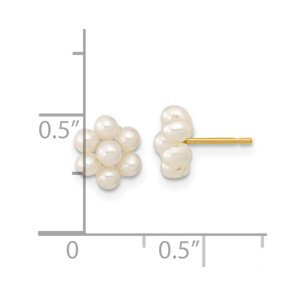 14k Yellow Gold 2-3mm Button Freshwater Cultured Pearl Flower Stud Earrings
