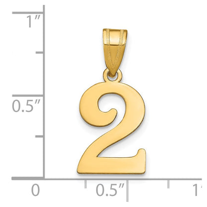 14k Yellow Gold Polished Number 2 Pendant