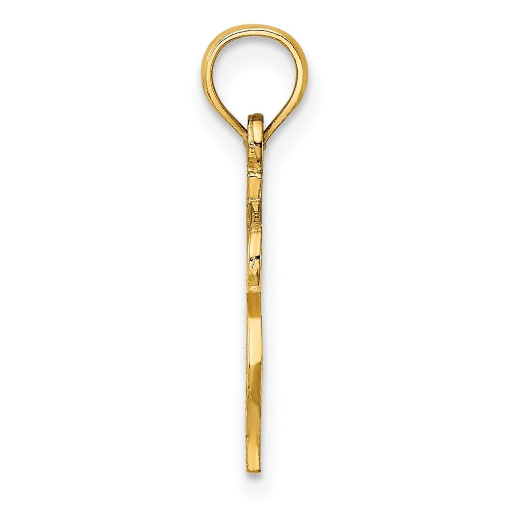 14k Yellow Gold Dollar Sign Charm