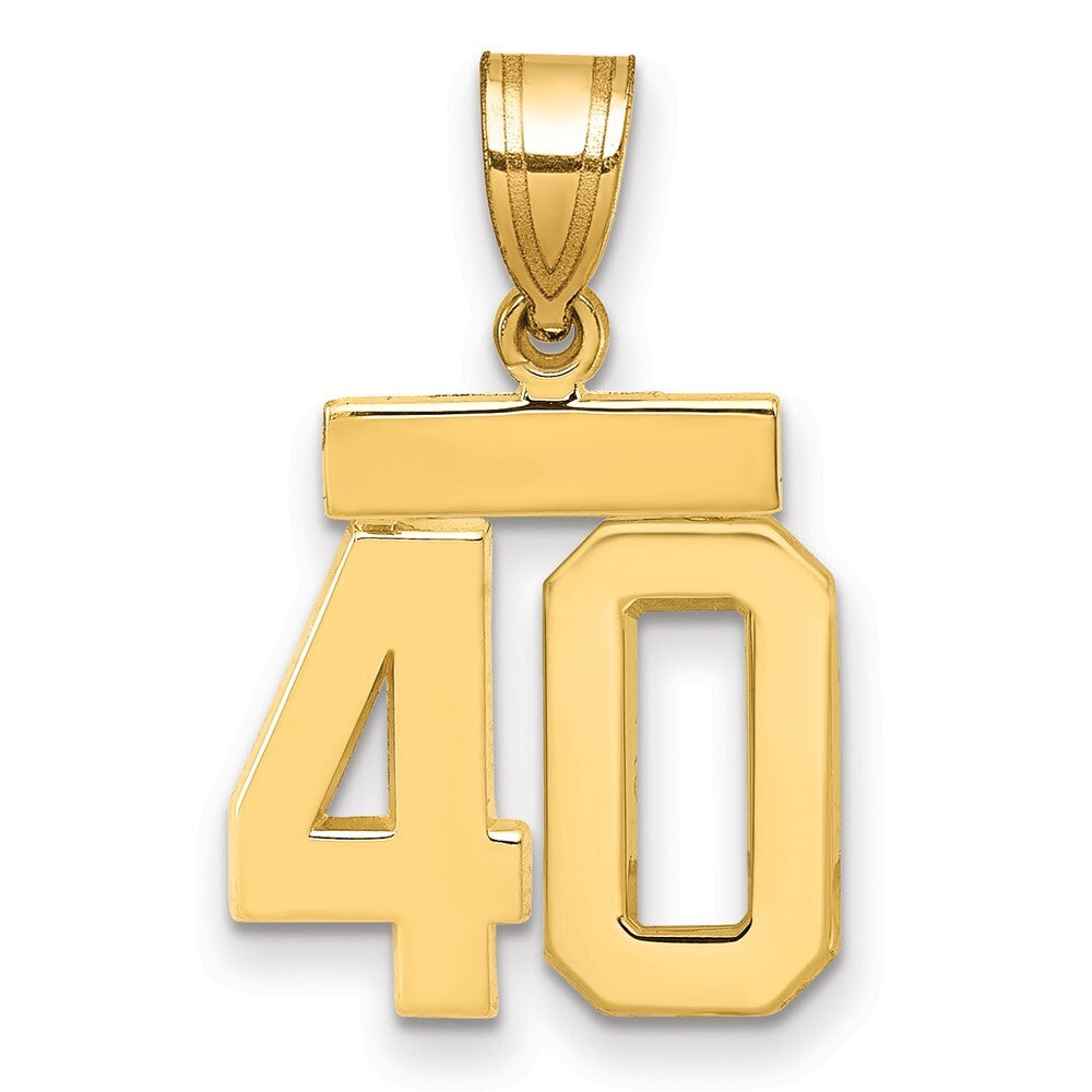 14k Yellow Gold Small Polished Number 40 Charm Pendant for Women