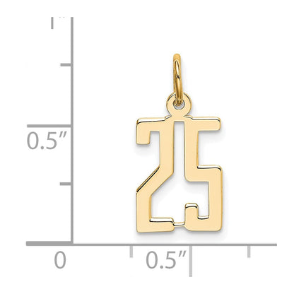 14k Yellow Gold Small Elongated Number 25 Charm Pendant for Women