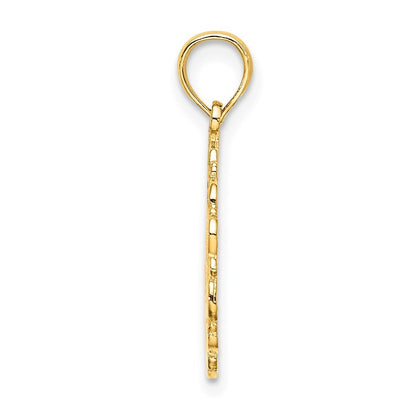 14k Yellow Gold Star Of David In Scalloped Circle Charm Pendant for Women