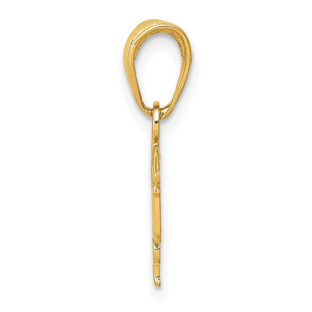 14k Yellow Gold LPN Symbol Pendant