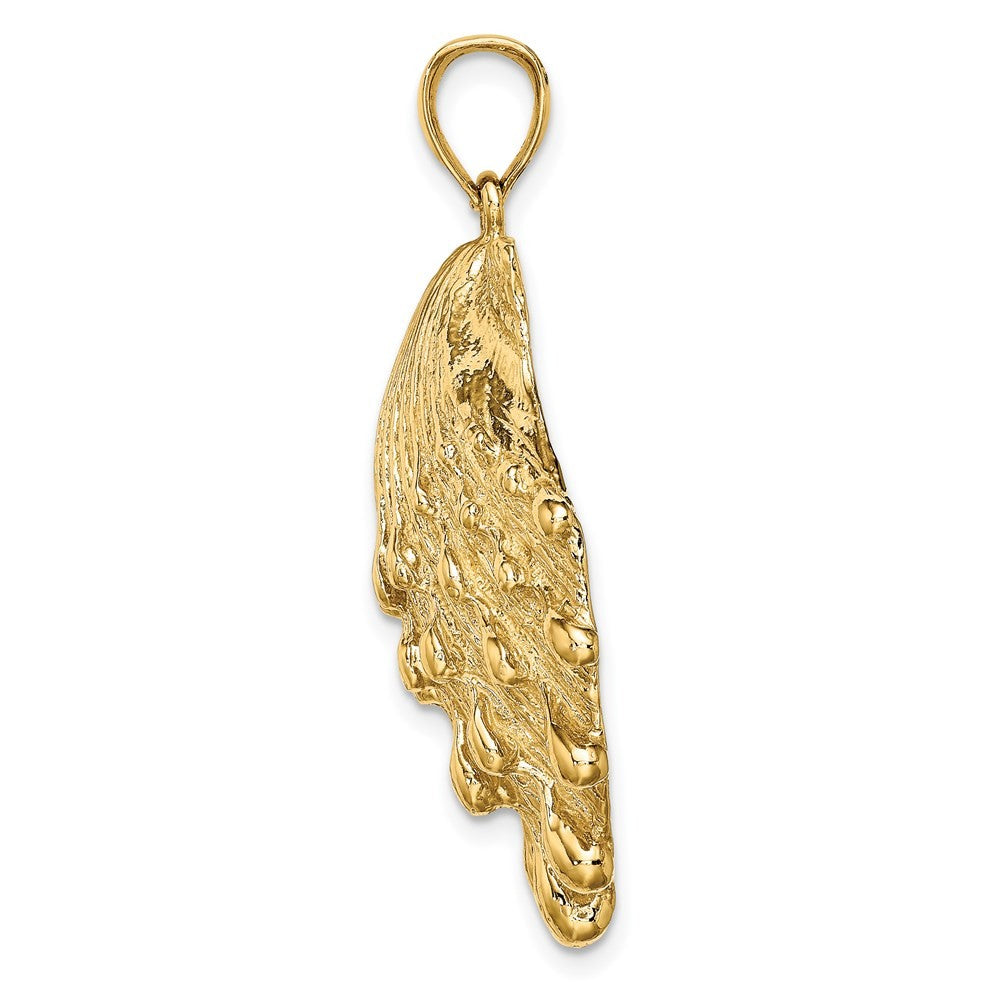 14k Yellow Gold Lion's Paw Shell Charm