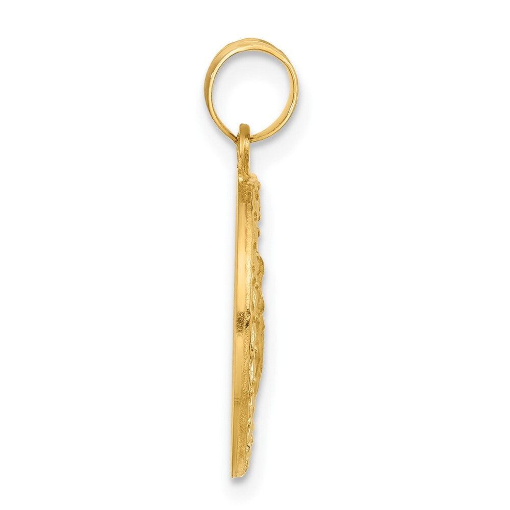 14k Yellow Gold Polished Hollow St Anthony Medal Pendant for Women
