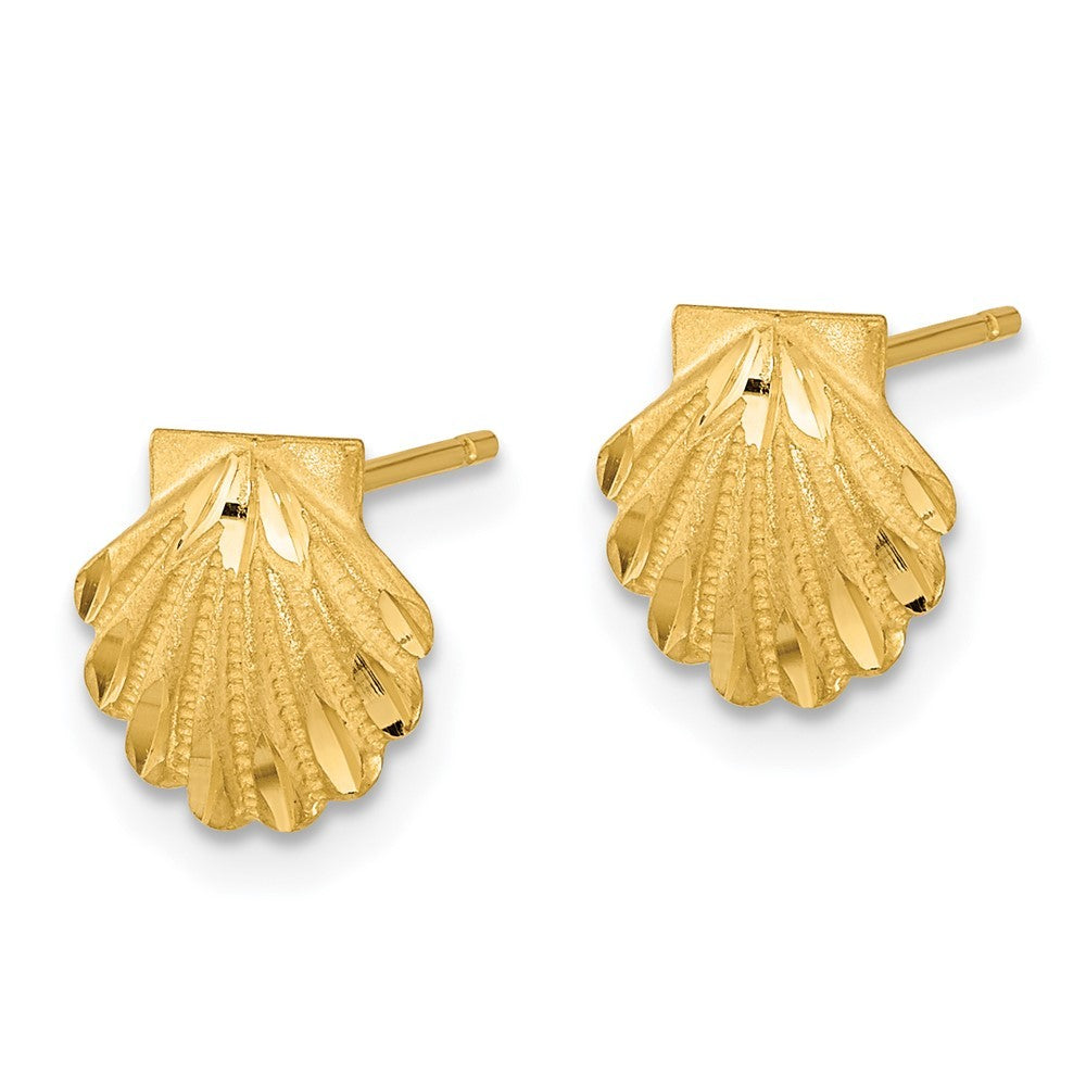 14k Yellow Gold Satin Diamond-cut Seashell Earrings
