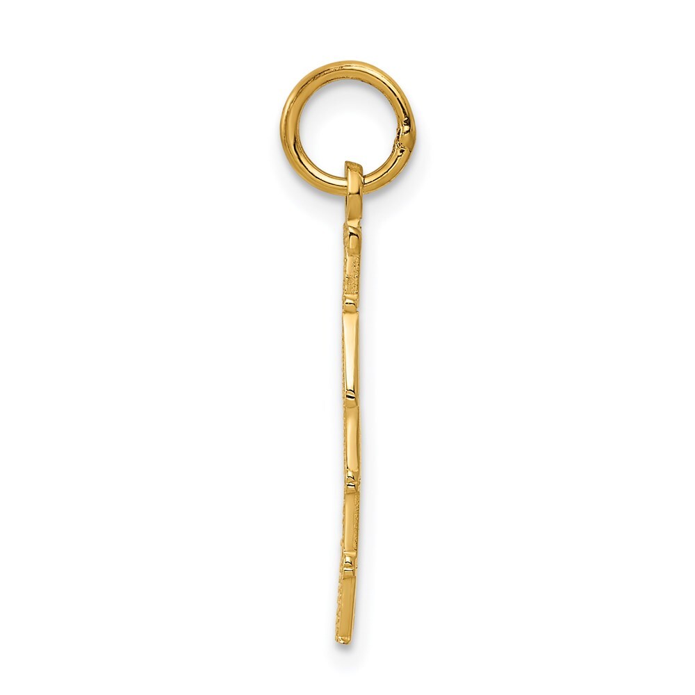 14k Yellow Gold Polished TAKEN Charm Pendant for Women