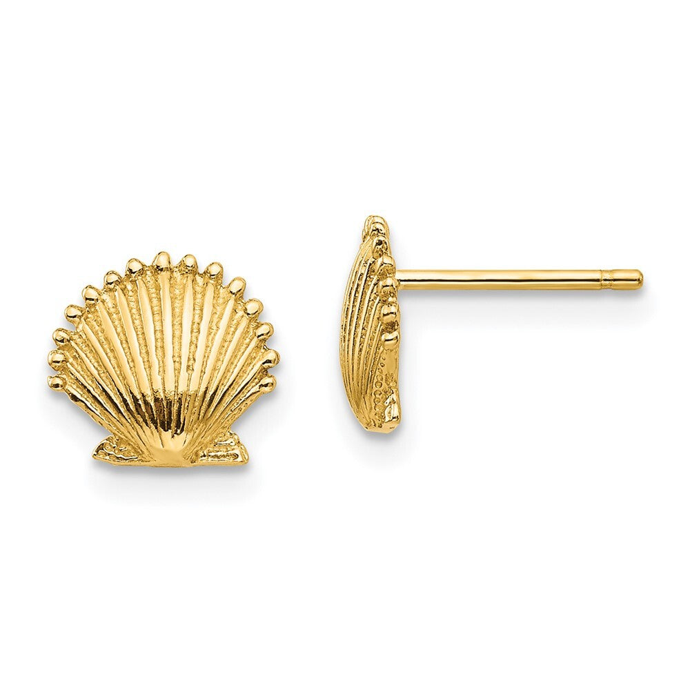 14k Yellow Gold Scallop Shell Stud Earrings Gift for Women