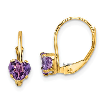 14k Yellow Gold 5mm Heart Amethyst Leverback Earrings Gift for Women