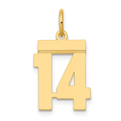 14k Yellow Gold Small Polished Number 14 Charm Pendant for Women