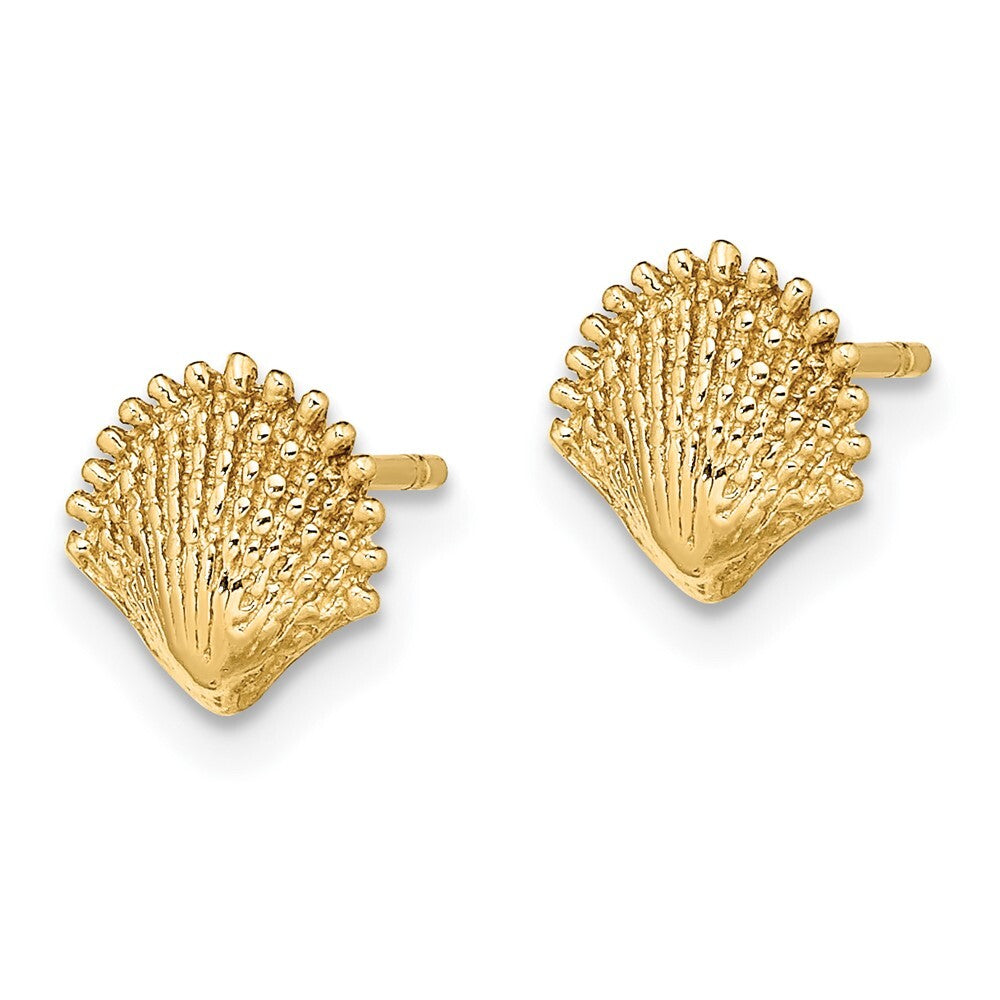 14k Yellow Gold Scallop Shell Stud Earrings Gift for Women