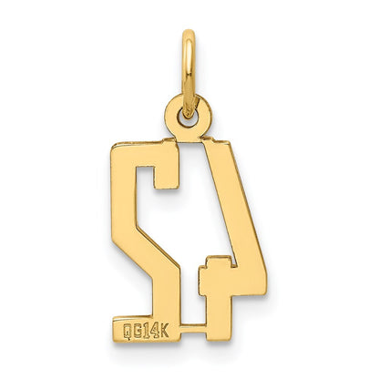 14k Yellow Gold Small Elongated Number 42 Charm Pendant for Women