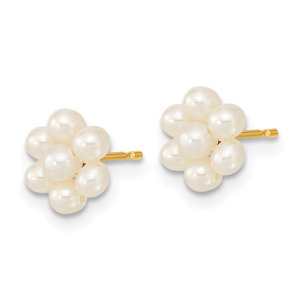 14k Yellow Gold 2-3mm Button Freshwater Cultured Pearl Flower Stud Earrings