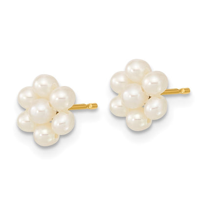14k Yellow Gold 2-3mm Button Freshwater Cultured Pearl Flower Stud Earrings