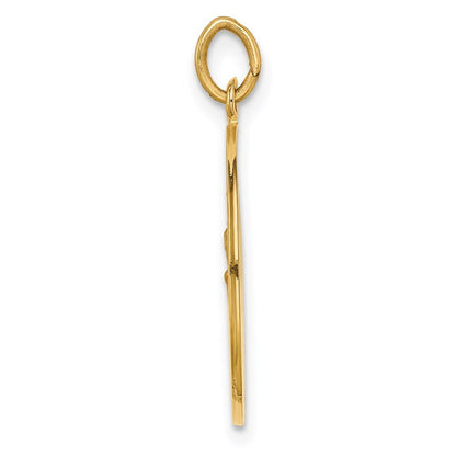 14k Yellow Gold Solid Polished/Satin Small Round St. Christopher Medal Pendant