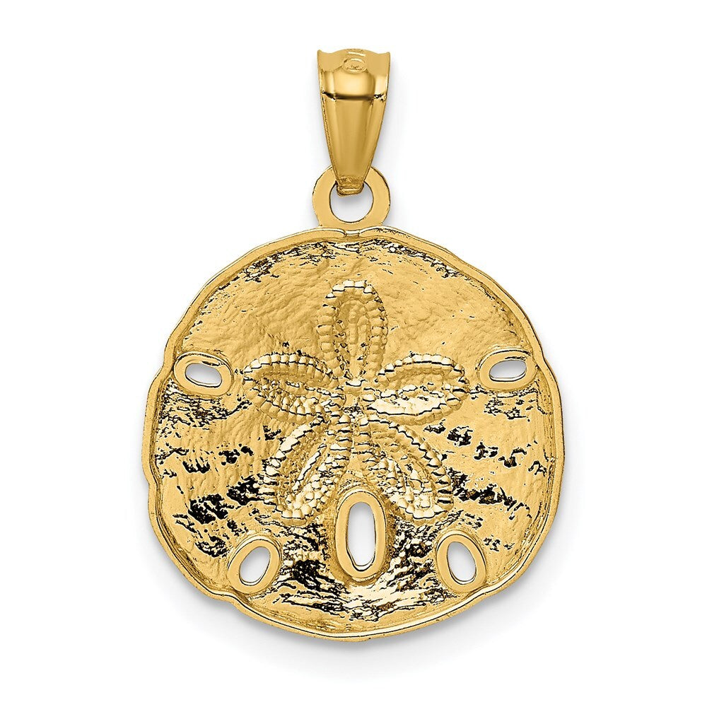 14k Yellow Gold Gold Polished Large Sand Dollar Pendant for Women