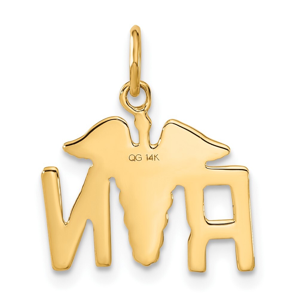 14k Yellow Gold RN Registered Nurse Charm Pendant for Women