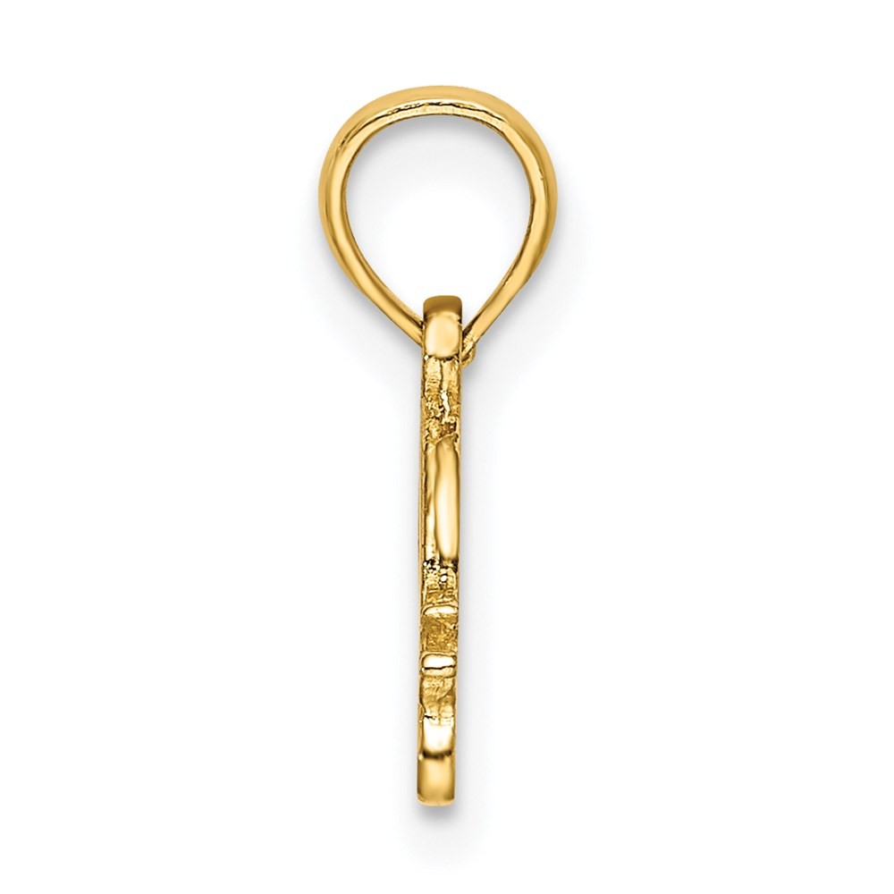 14k Yellow Gold Textured Mini Snail Charm Pendant