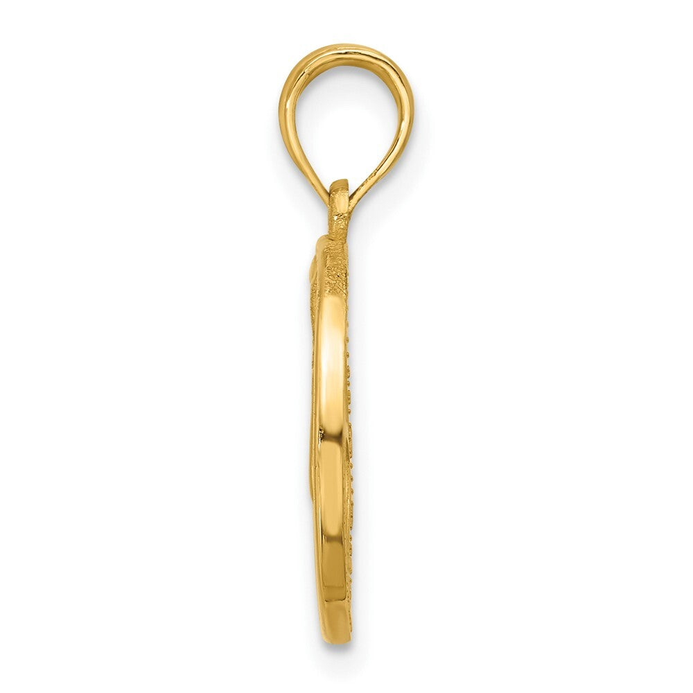 14k Yellow Gold Polished Round Virgo Pendant for Women