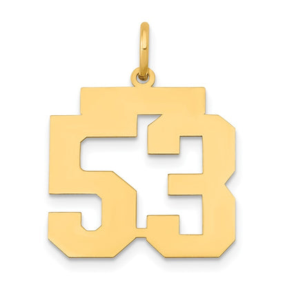 14k Yellow Gold Medium Polished Number 53 Charm Pendant for Women