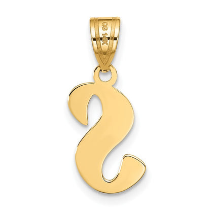 14k Yellow Gold Polished Script Letter S Initial Pendant for Women