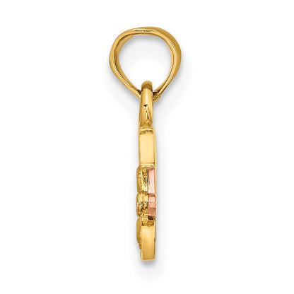 14k Two-Tone DADDY'S LITTLE GIRL Charm