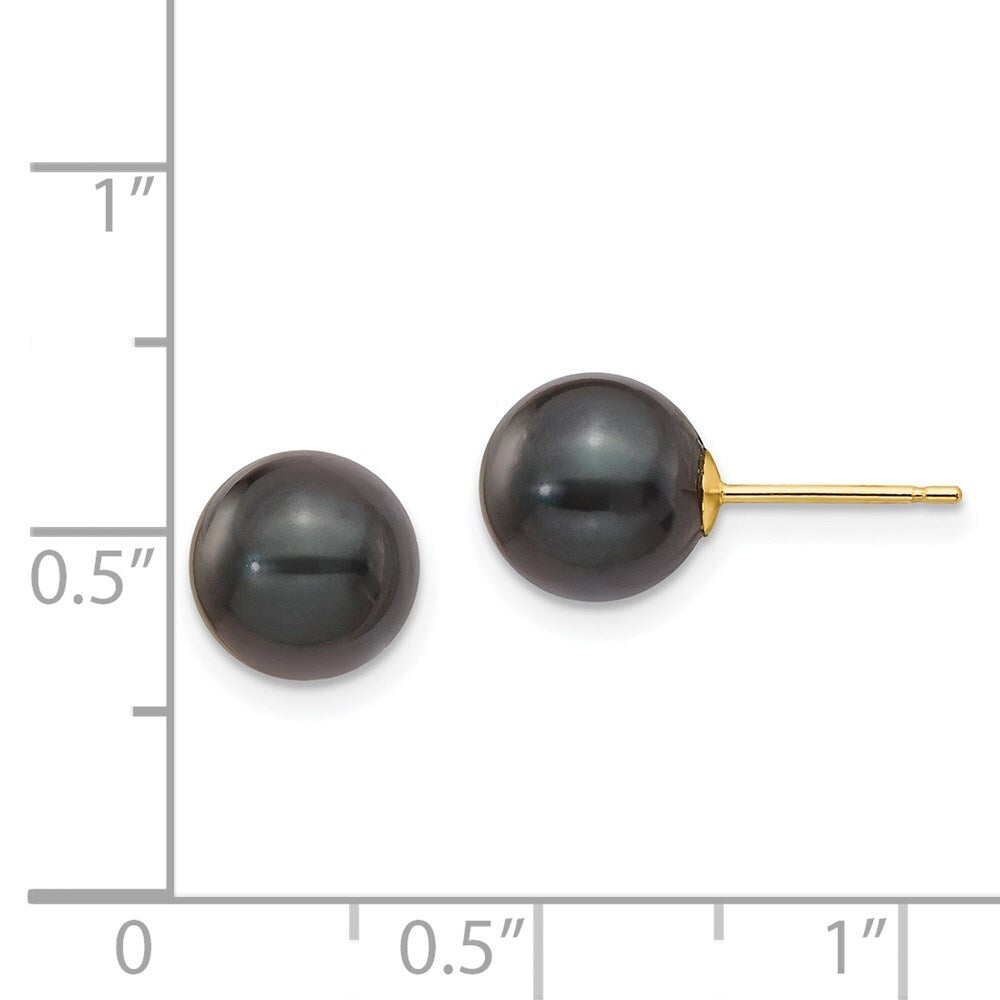 14k Yellow Gold 8-9mm Black Round Akoya Saltwater Cultured Pearl Stud Earrings